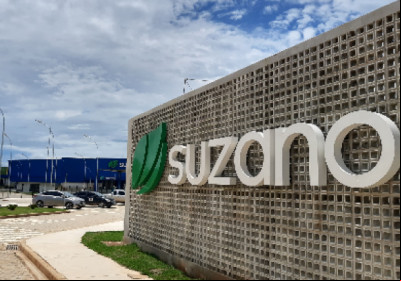 Suzano abre inscrições para o Programa de Trainee 2025
