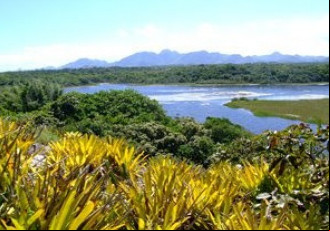 Parques estaduais comemoram a Semana do Meio Ambiente