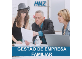 HMZ Consultoria de Negócios