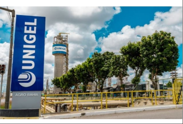 Petrobras analisa negócios conjuntos com Unigel