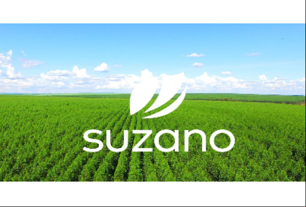 Suzano, Box Print e Merck se unem para neutralizar emissão de carbono em embalagens de medicamentos