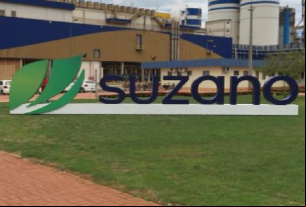 Suzano vende 2,9 milhões de toneladas de celulose e papéis no segundo trimestre de 2024