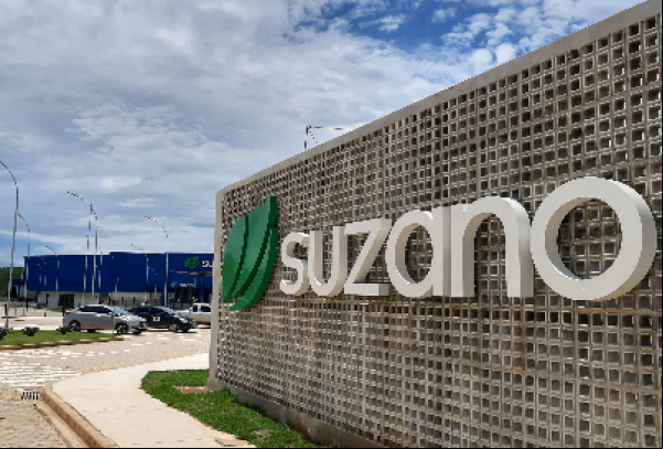 Suzano abre inscrições para o Programa de Trainee 2025