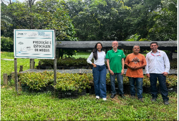 Suzano doa 500 mil mudas de eucalipto ao Cedagro/Incaper e amplia atuação ambiental no Espírito Santo